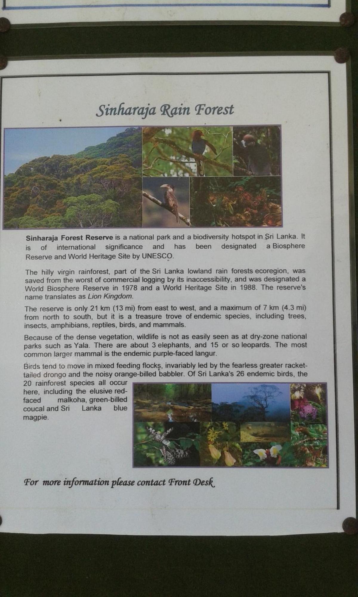 Kaween Homestay Weligama Extérieur photo